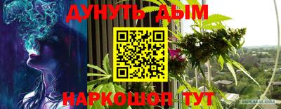 гашик Гусь-Хрустальный
