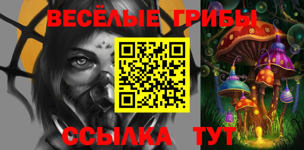 Галлюциногенные грибы Magic Shrooms  Вход с VPN  Галлюциногенные грибы Magic Shrooms  Пятигорск 