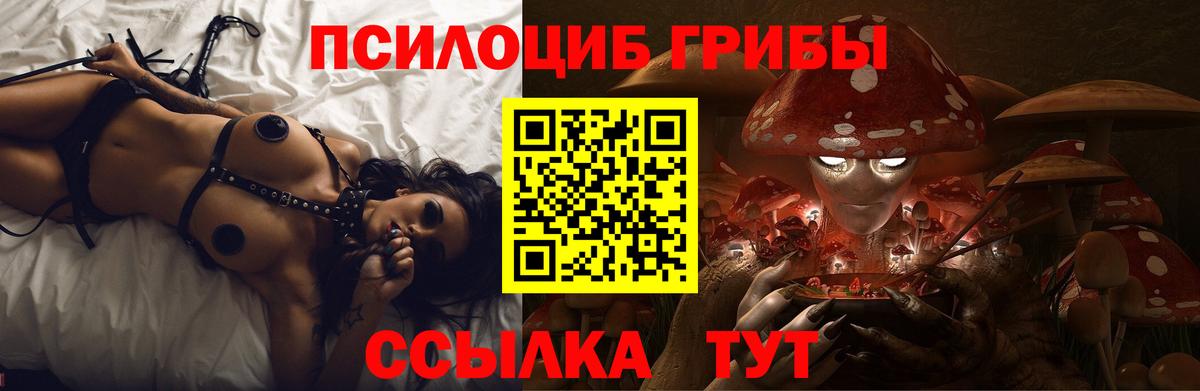 Галлюциногенные грибы Psilocybe Пятигорск